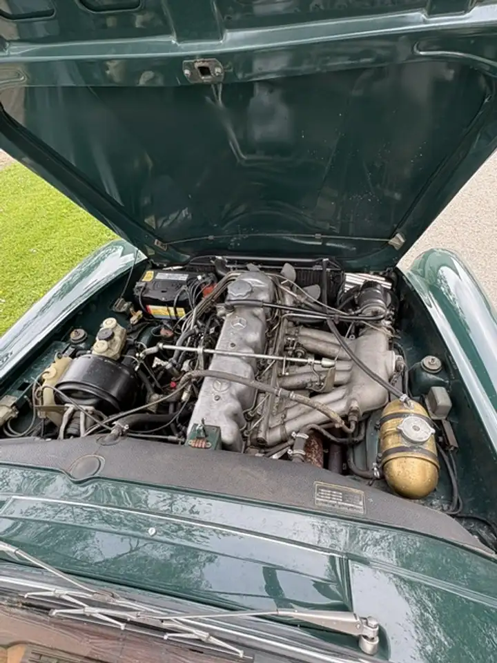 Mercedes-Benz 250 California, foto 12