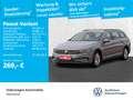 Volkswagen Passat Variant 2.0 TDI DSG Business Navi ACC LED Grau - thumbnail 1