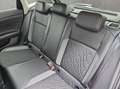 Volkswagen Polo Goal 1,0 l TSI OPF 70 kW (95 PS) 7- Gang-Do Noir - thumbnail 13