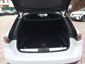 Peugeot 508 1.5 BlueHDi 130 SW GT LED ACC SHZ Kamera Weiß - thumbnail 12