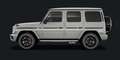 Mercedes-Benz G 63 AMG /TV/CARBON INTERIOR/A22/ MY2026 Grijs - thumbnail 3