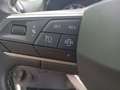 SEAT Arona 1.0 TSI S&S Xperience 110 Weiß - thumbnail 19