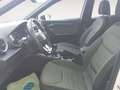 SEAT Arona 1.0 TSI S&S Xperience 110 Weiß - thumbnail 9