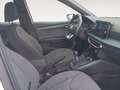 SEAT Arona 1.0 TSI S&S Xperience 110 Blanco - thumbnail 15