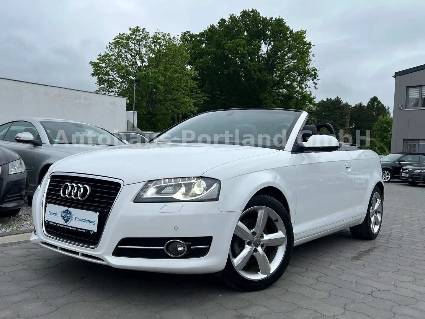 Audi A3 Cabriolet Ambition/S-Heft/Alcan/Bose/SHZ/Xen Bianco - 2