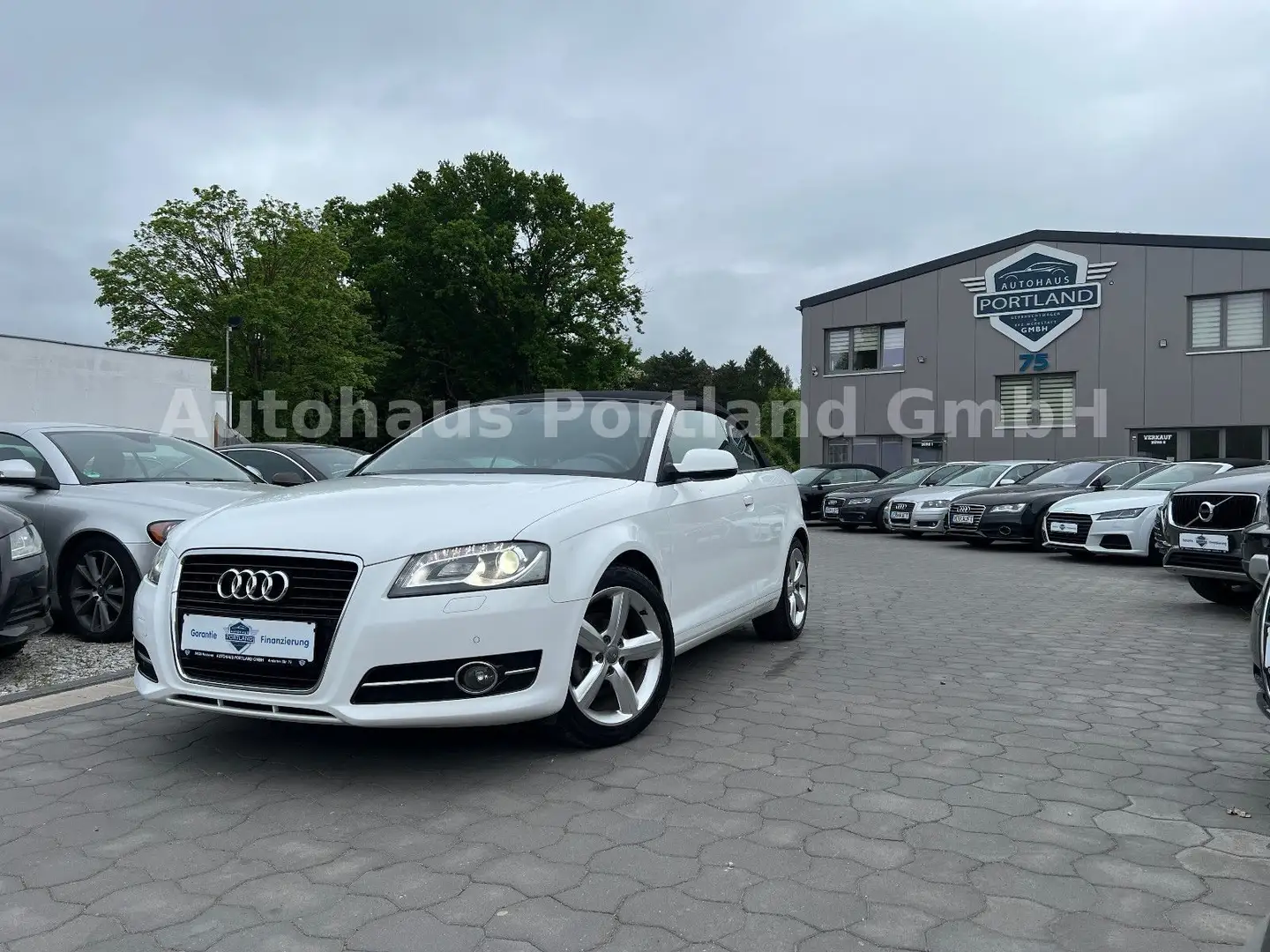 Audi A3 Cabriolet Ambition/S-Heft/Alcan/Bose/SHZ/Xen Bianco - 1
