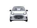 smart forTwo EQ  22KW SHZ Weiß - thumbnail 15