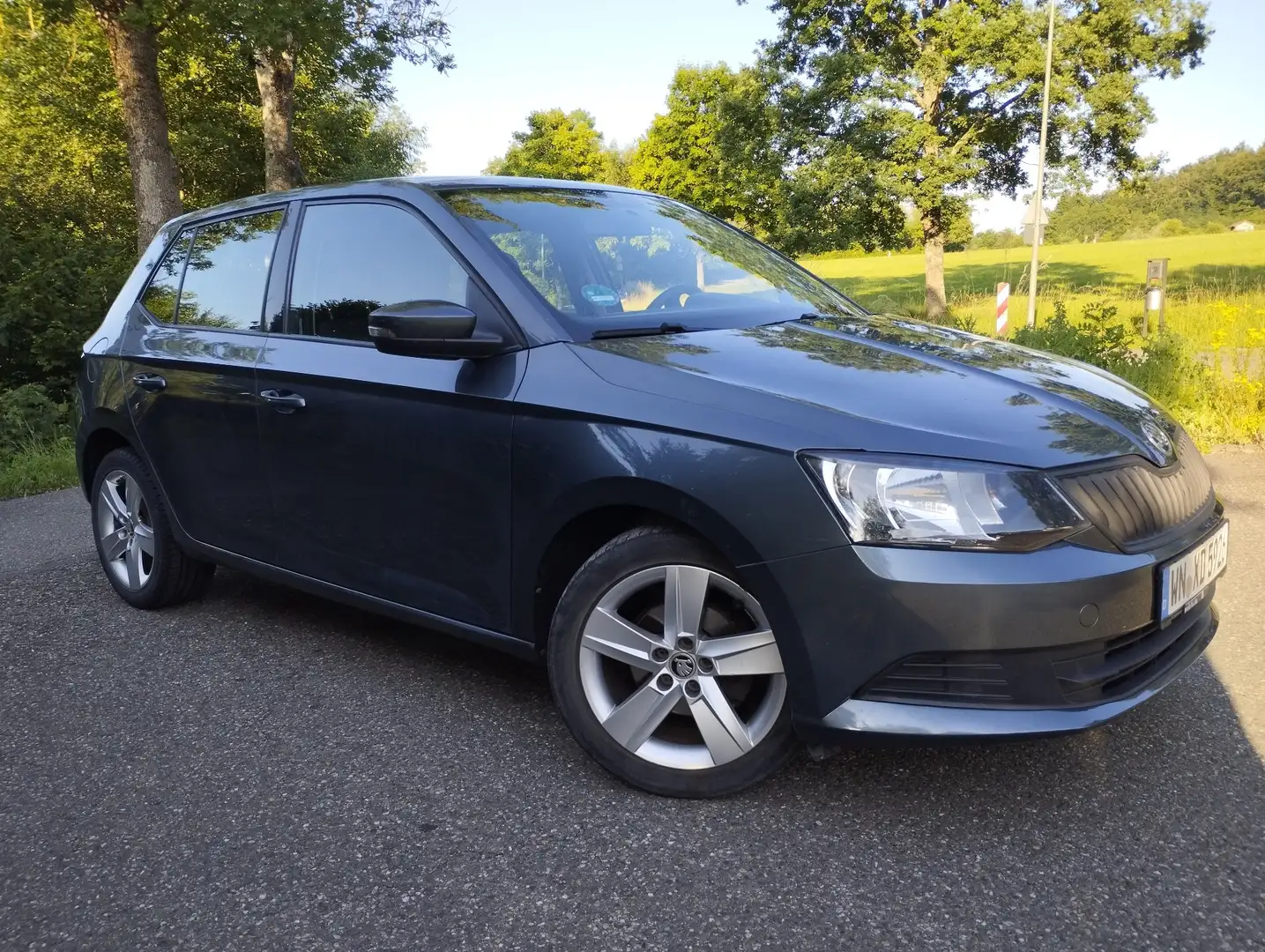 Skoda Fabia Cool Edition 1.0 MPI Scheckheft/ TÜV- klima Grau - 1