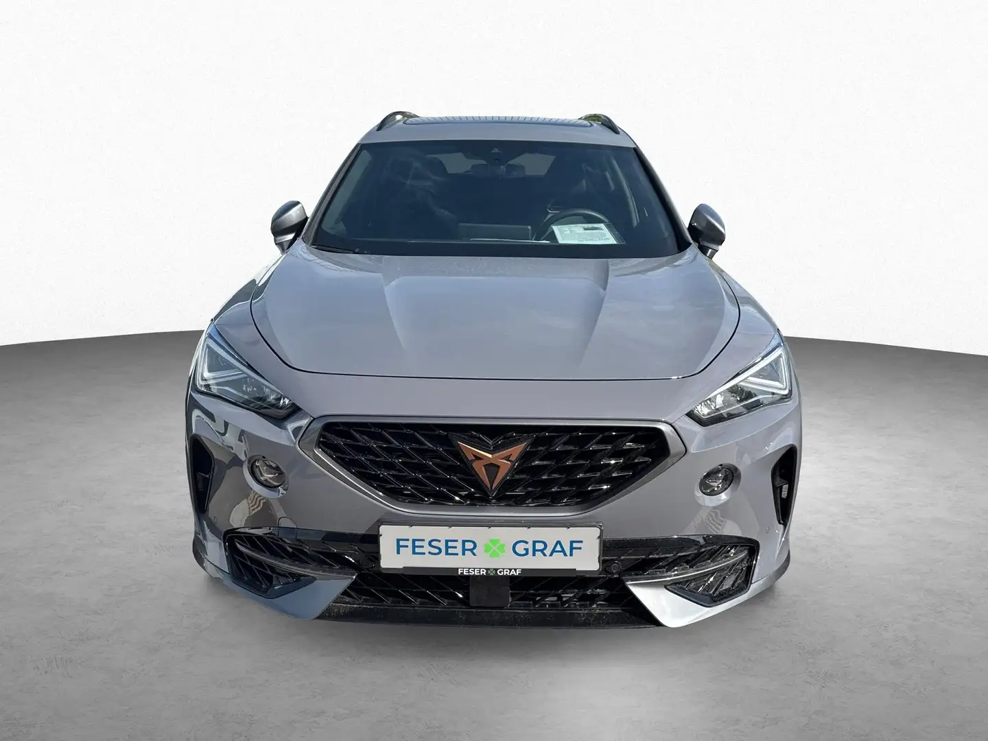 CUPRA Formentor VZ 2.0 TSI 4Drive 7-Gang DSG/PANO/SHZ Grijs - 2