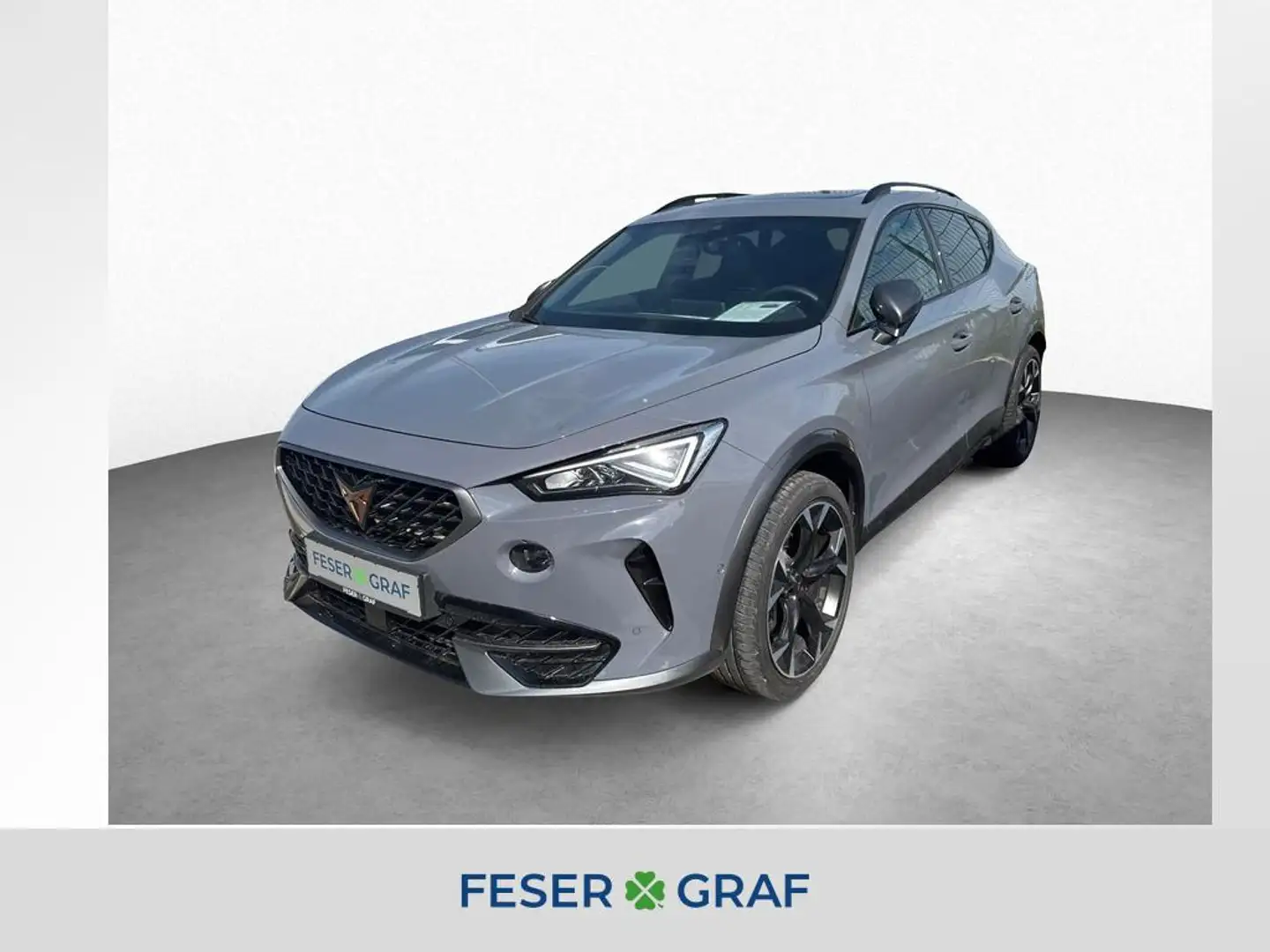 CUPRA Formentor VZ 2.0 TSI 4Drive 7-Gang DSG/PANO/SHZ Gris - 1