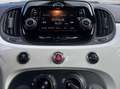 Fiat 500 500 III 1.0 hybrid Cult 70cv NESSUN VINCOLO Blanc - thumbnail 8