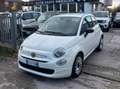 Fiat 500 500 III 1.0 hybrid Cult 70cv NESSUN VINCOLO Blanco - thumbnail 3