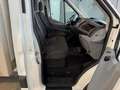 Ford Transit Transit Koffer 2,0 EcoBlue L5H1 *Zwillingsberei... Weiß - thumbnail 12