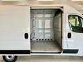 Fiat Ducato 33 2.2 Mjt 140CV PM-TM Easy Furgone Weiß - thumbnail 13