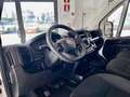 Fiat Ducato 33 2.2 Mjt 140CV PM-TM Easy Furgone Weiß - thumbnail 9