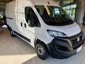 Fiat Ducato 33 2.2 Mjt 140CV PM-TM Easy Furgone Weiß - thumbnail 3