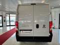 Fiat Ducato 33 2.2 Mjt 140CV PM-TM Easy Furgone Weiß - thumbnail 5