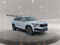 Skoda Kodiaq 2.0 TDI Tour 4xSHZ ACC AUT Facelift LED Blanco - thumbnail 5