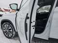 Skoda Kodiaq 2.0 TDI Tour 4xSHZ ACC AUT Facelift LED Blanco - thumbnail 18