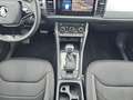 Skoda Kodiaq 2.0 TDI Tour 4xSHZ ACC AUT Facelift LED Blanco - thumbnail 10