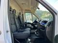 Fiat Ducato FIAT DUCATO 2.3 MTJ 150CV PORTATA 1300KG Bianco - thumbnail 15