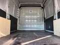 Fiat Ducato FIAT DUCATO 2.3 MTJ 150CV PORTATA 1300KG Blanc - thumbnail 19