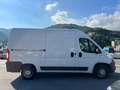 Fiat Ducato FIAT DUCATO 2.3 MTJ 150CV PORTATA 1300KG Bianco - thumbnail 4