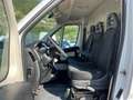 Fiat Ducato FIAT DUCATO 2.3 MTJ 150CV PORTATA 1300KG Bianco - thumbnail 11