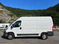 Fiat Ducato FIAT DUCATO 2.3 MTJ 150CV PORTATA 1300KG Bianco - thumbnail 3