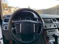 Land Rover Range Rover Sport 3.0 F1 TDV6 HSE MOTORE NUOVO Bianco - thumbnail 14