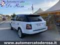 Land Rover Range Rover Sport 3.0 F1 TDV6 HSE MOTORE NUOVO Wit - thumbnail 7
