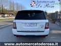 Land Rover Range Rover Sport 3.0 F1 TDV6 HSE MOTORE NUOVO Wit - thumbnail 5