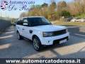 Land Rover Range Rover Sport 3.0 F1 TDV6 HSE MOTORE NUOVO Wit - thumbnail 3