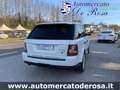 Land Rover Range Rover Sport 3.0 F1 TDV6 HSE MOTORE NUOVO Wit - thumbnail 6
