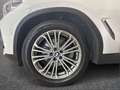 BMW X3 xdrive20d Luxury 190cv auto Alb - thumbnail 6