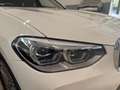 BMW X3 xdrive20d Luxury 190cv auto Alb - thumbnail 7