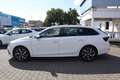 Skoda Octavia Octavia Combi 1.4 TSI iV DSG Style|NAVI|SHZG|LED - thumbnail 10