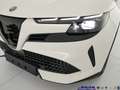 Alfa Romeo Junior 1.2 145 CV Hybrid eDCT6 Speciale Bianco - thumbnail 29