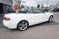Audi A5 Cabriolet 1.8 TFSI Pro Line S Automaat Cabriolet / Wit - thumbnail 4
