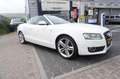 Audi A5 Cabriolet 1.8 TFSI Pro Line S Automaat Cabriolet / Wit - thumbnail 2