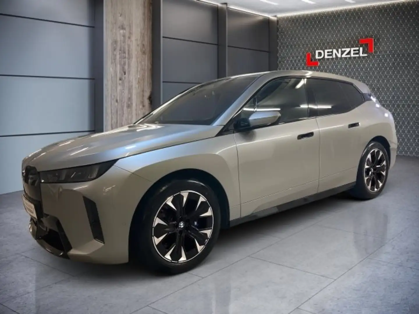 BMW iX xDrive45 I20 Silber - 2