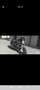 Moto Guzzi Breva 750 Zilver - thumbnail 9