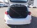 Ford Fiesta 1.5 TDCi Trend Start-Stopp Klima PDC Weiß - thumbnail 21
