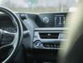 Lexus UX 250h 250h Luxury Line Grijs - thumbnail 21