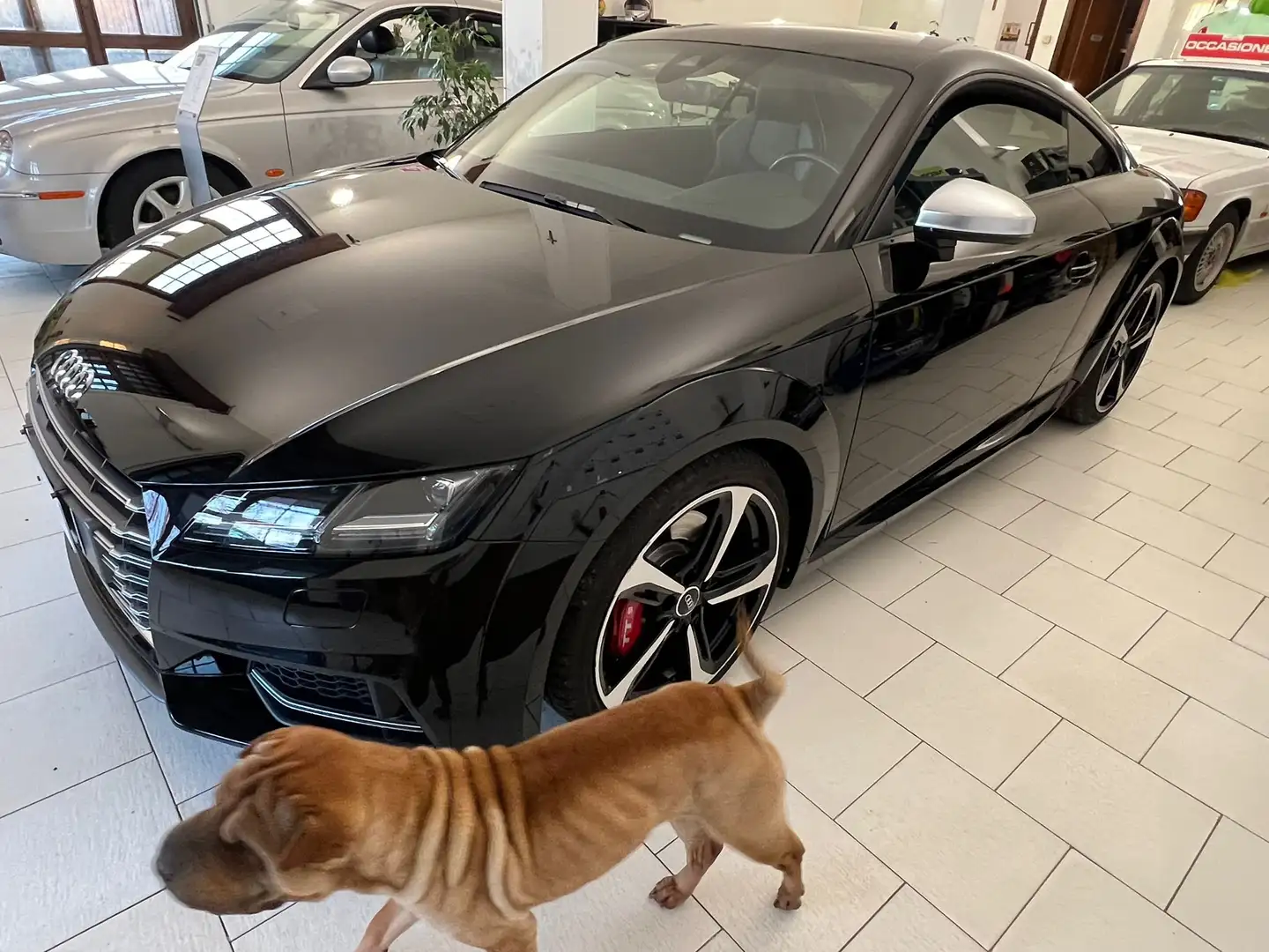 Audi TTS TT III 2015 Coupe Coupe 2.0 tfsi quattro s-tronic Nero - 2