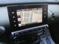 Citroen C4 Cactus C4 Cactus PureTech 82 Shine OK NEOPATENTATI Gris - thumbnail 13