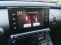 Citroen C4 Cactus C4 Cactus PureTech 82 Shine OK NEOPATENTATI Gris - thumbnail 12