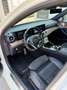 Mercedes-Benz E 350 d AMG-Line|E-53Look|Widescreen|Schiebe|Burmester| Weiß - thumbnail 14