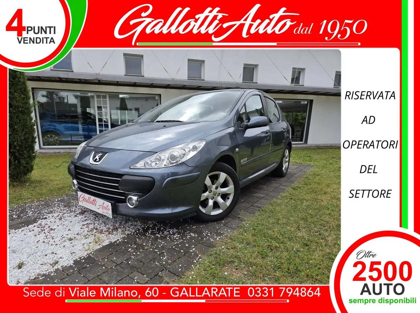 Peugeot 307 1.6 16V 5p. Grigio - 1