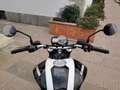 Moto Morini Scrambler 1200 * E3 - 117 CV * - RATE AUTO MOTO SCOOTER Černá - thumbnail 7